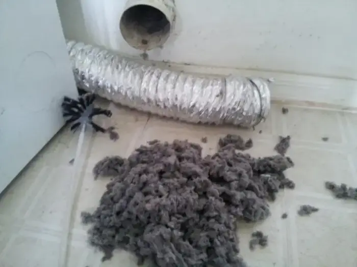 Heavily clogged LG dryer exhaust vent outside home — lint blockage
